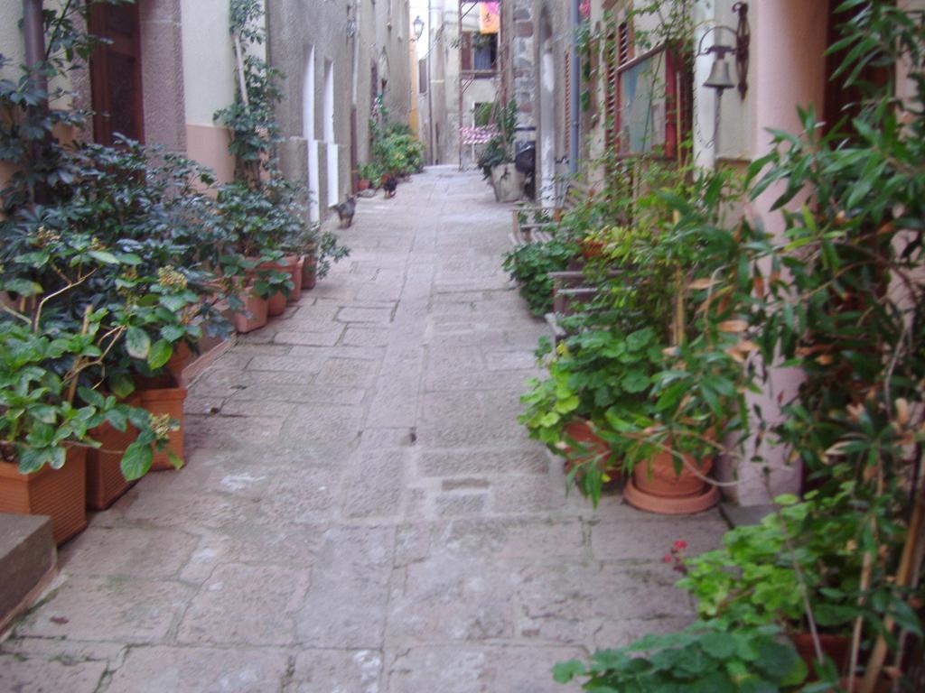 Sogno Di Rena Apartment Castelsardo Exterior photo